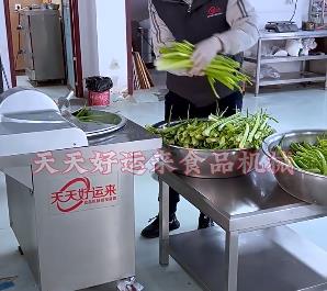 为什么选择天天好运来斩拌机，它的特点有哪些你不知道的？